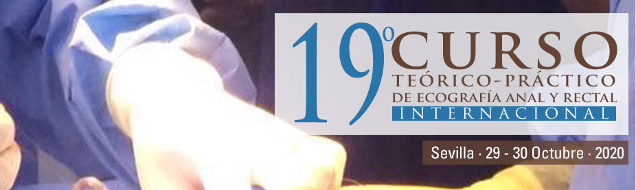 19 Curso Terico-Prtico de Ecografa Anal Y Rectal Internacional  